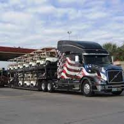 Action Auto Transport