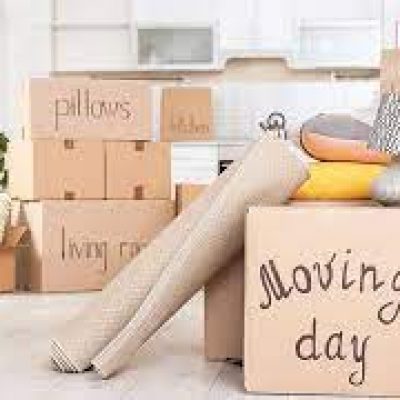 Apollo Moving and Storage
