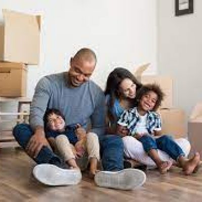 Tropical Moves Moving And Storage