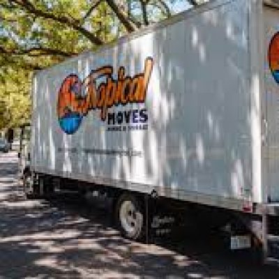 Tropical Moves Moving And Storage