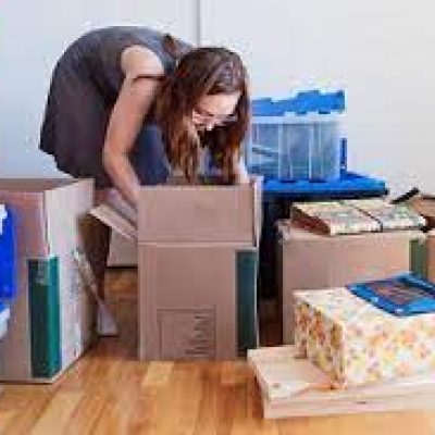 A1 Freeman Moving Group