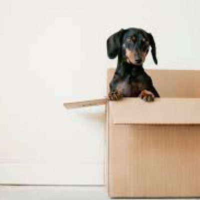 Moving Done Right Inc