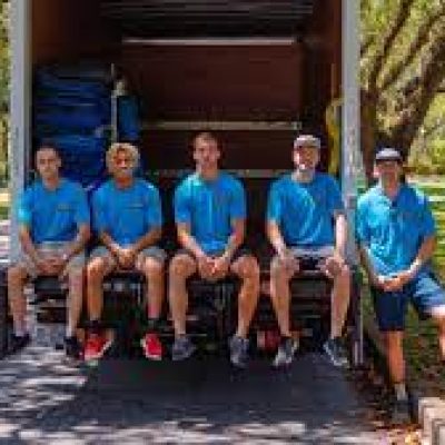 Tropical Moves Moving And Storage
