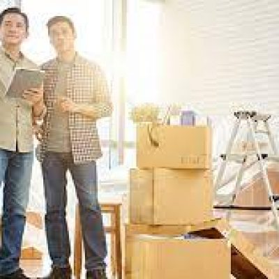 PALS Moving Service