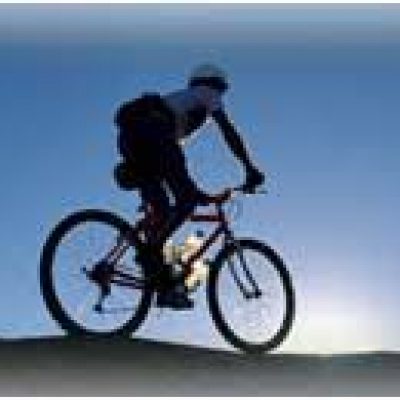 Specialized Moving Services