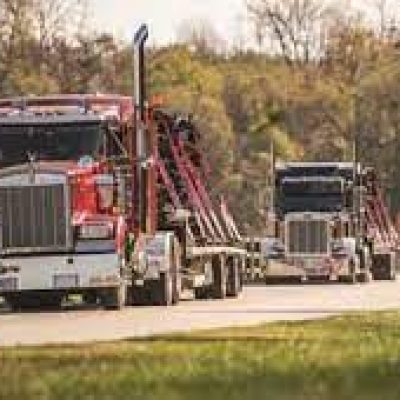 Bull Gator Transport LLC