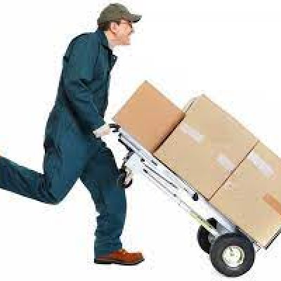 GO DIEGO GO SERVICES LLC