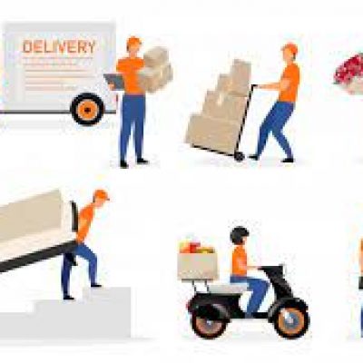 Reading Pro Movers