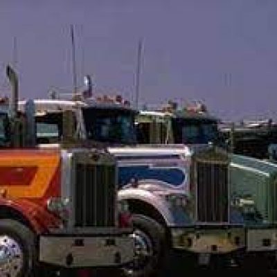 Rex Transportation