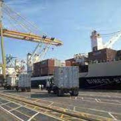 Rex Transportation
