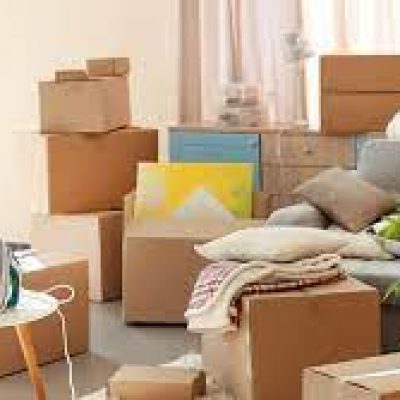 Vector Moving and Storage