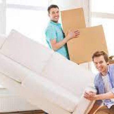 Vector Moving and Storage