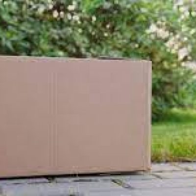 EAGLE MOVING GROUP INC