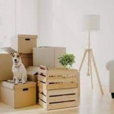 Four Paws Moving and Storage