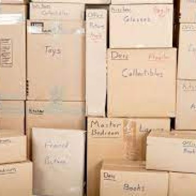 Palmetto Moving Services