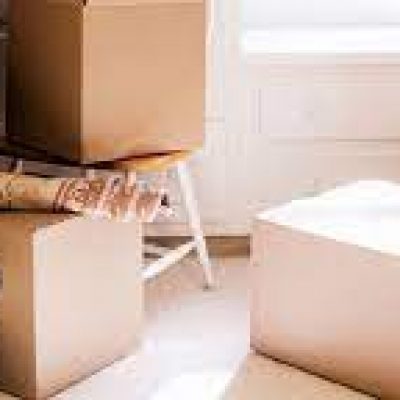 Delauters A1 Moving Helpers