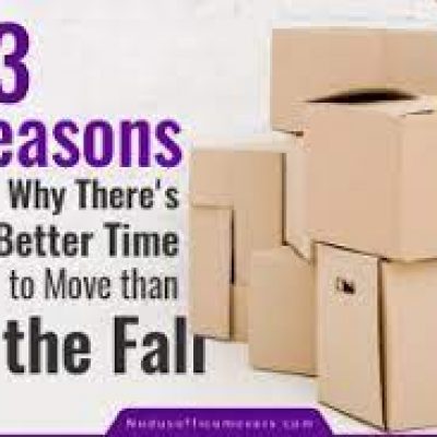 Nodus Office Movers