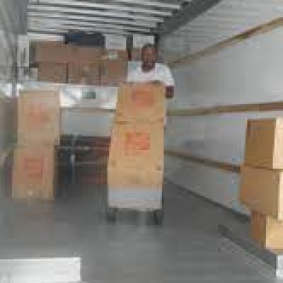 Avid Movers