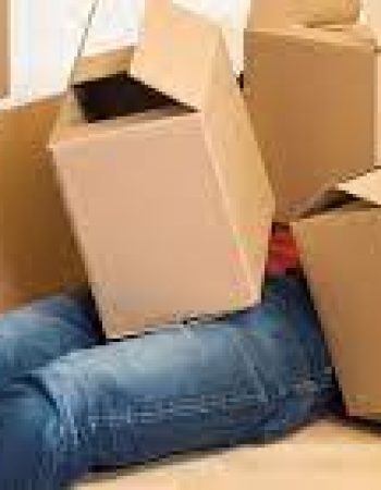 Seattle’s Best Moving