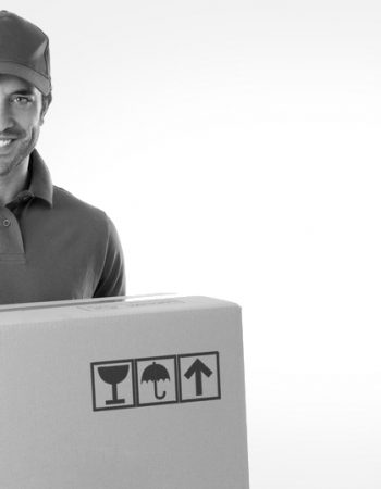 Quick Move Transport