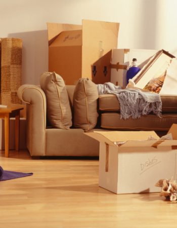 Simba Movers LLC