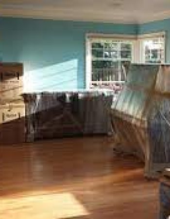Scout Moving & Storage