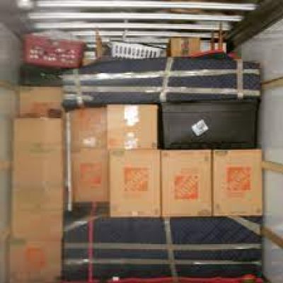 Avid Movers