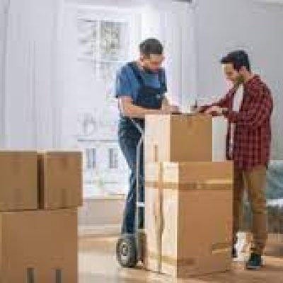 Four Paws Moving and Storage