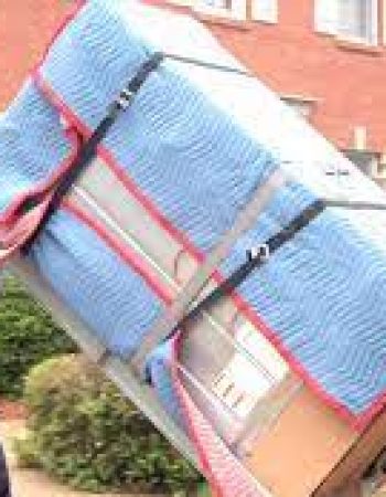 Scout Moving & Storage