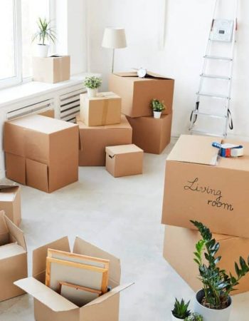First Movers