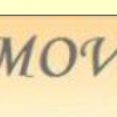 LA Moving Inc