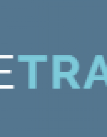 Ice Trans LLC