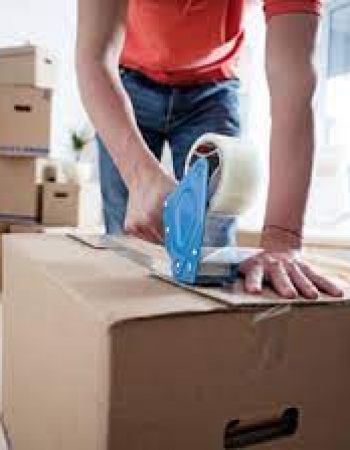 Michigan Office Movers