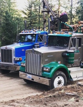 T&A Custom Trucking LLC