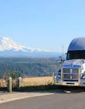 Rees Enterprizes Inc