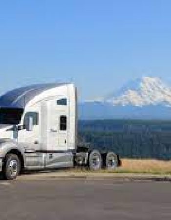 Rees Enterprizes Inc