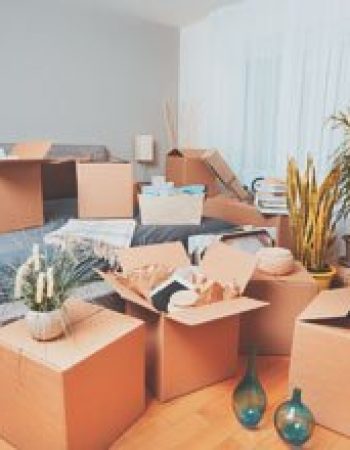 Moseley’s Movers