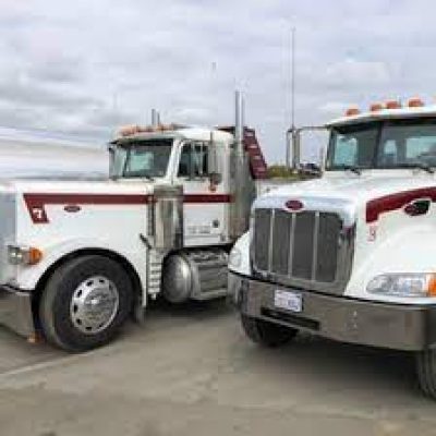 Mc Carty & Sons