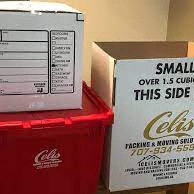 Celis Movers
