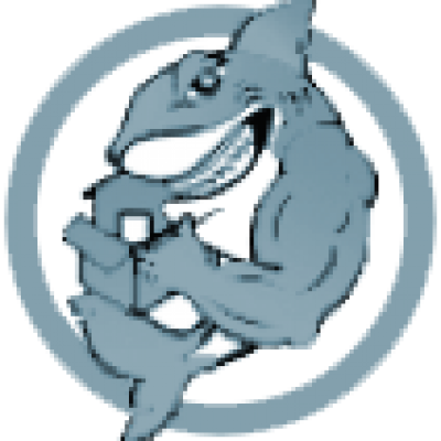 Qshark Moving Company