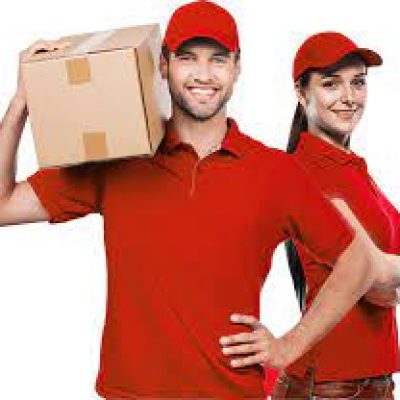 SFV Moving Company