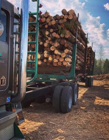 T&A Custom Trucking LLC