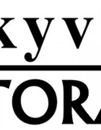 Skyview Storage