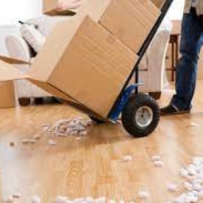 SF Local Moving & Storage