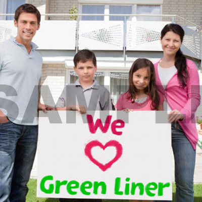 Green Liner International Inc