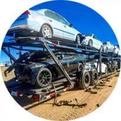 GM Transport Inc