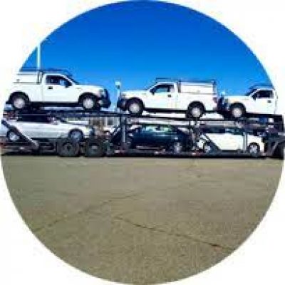GM Transport Inc