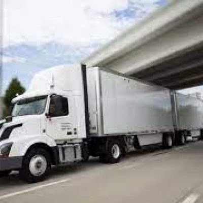 Black Bear moving and storage