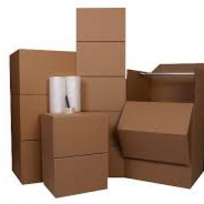 Safe N Fast Movers