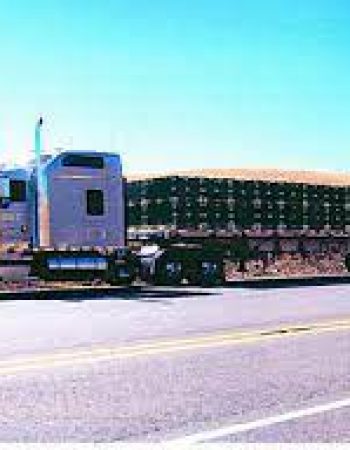 Power Transport Inc